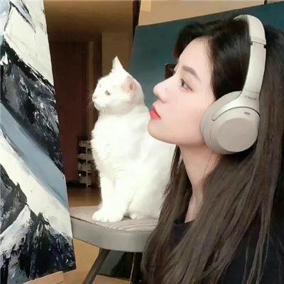大独裁者秘史