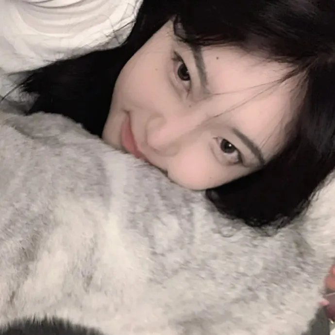 绿洲2024